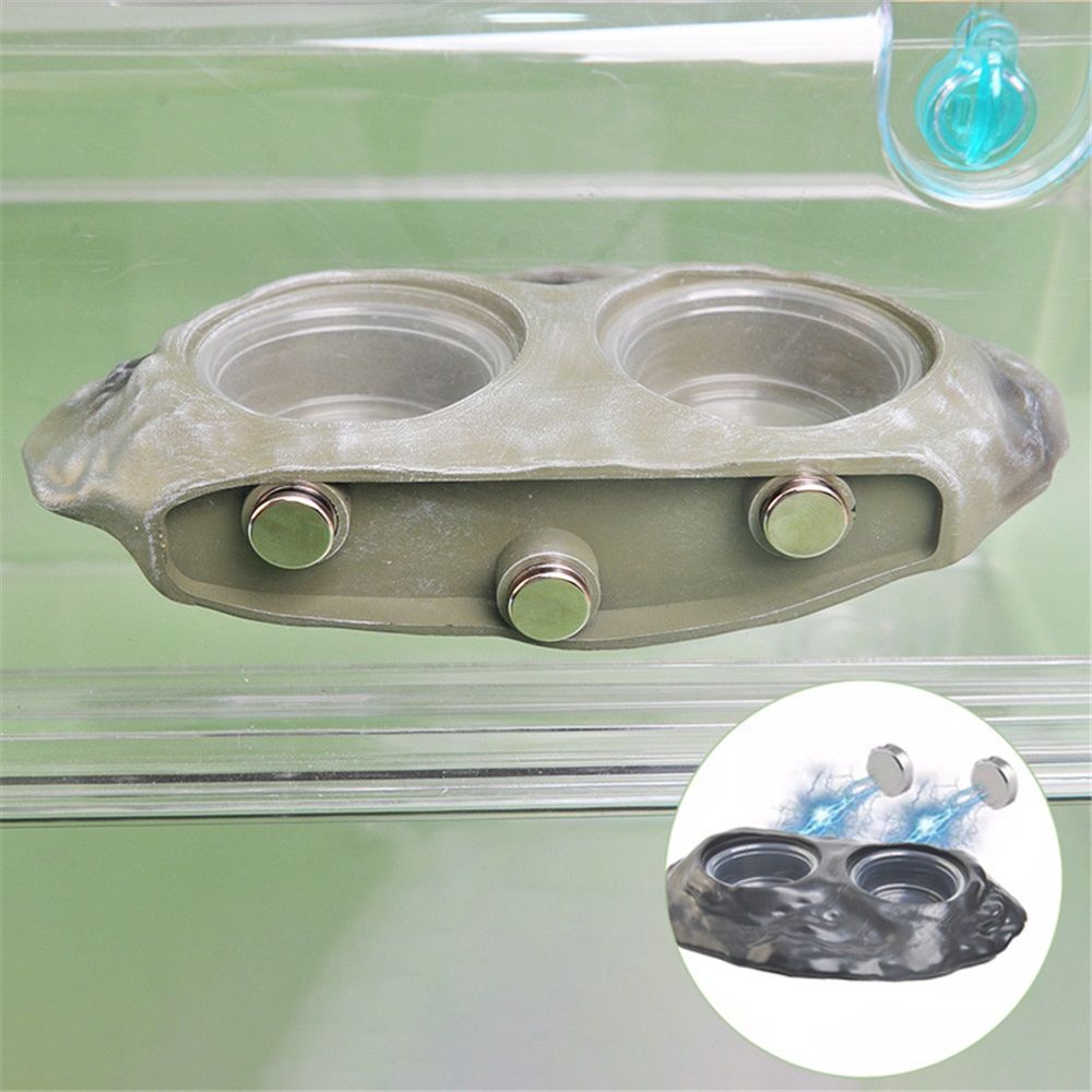 Tree dwelling pet food bowl lizard palace guard water bowl strong
