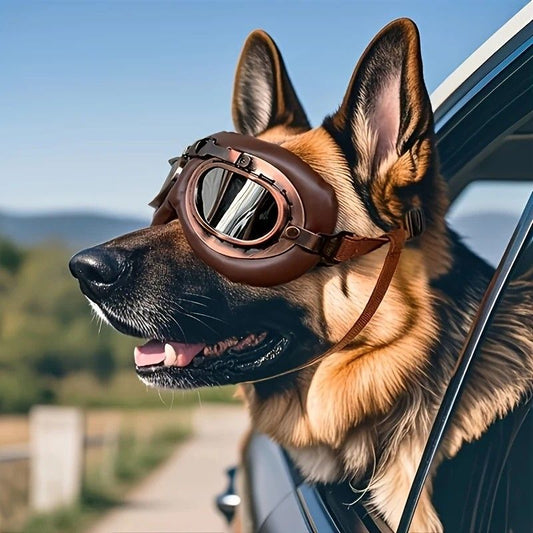Retro Aviator Dog Goggles