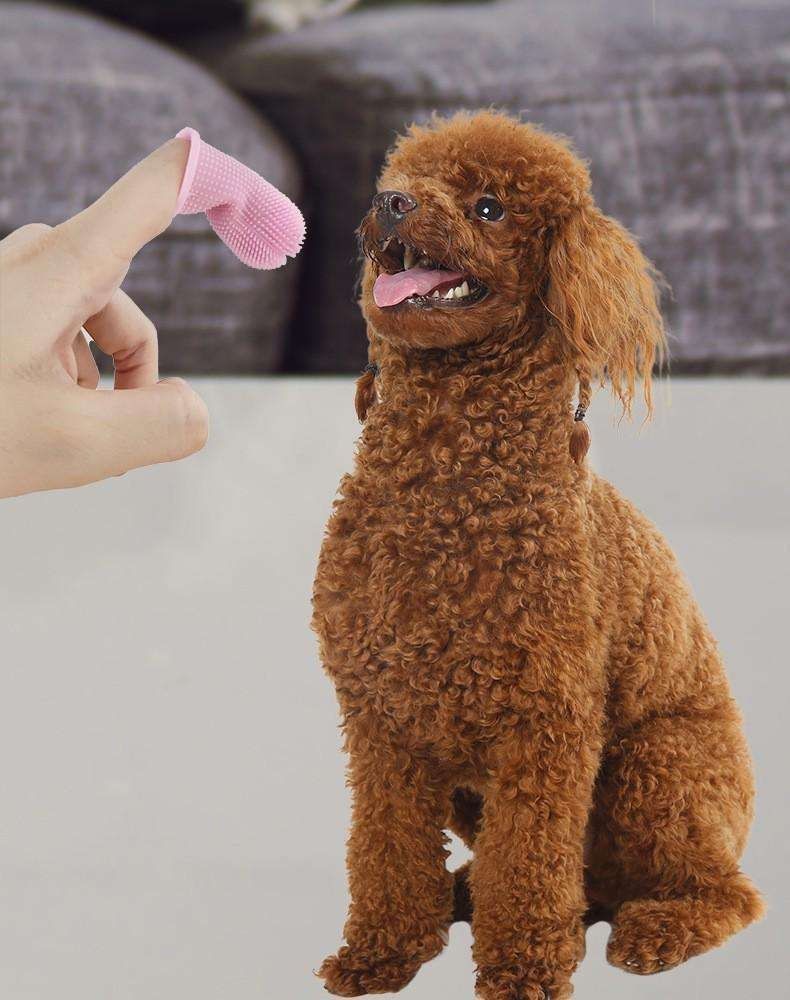 Pet Finger Toothbrush Multi-Pack | Dental Care | Dog & Cat