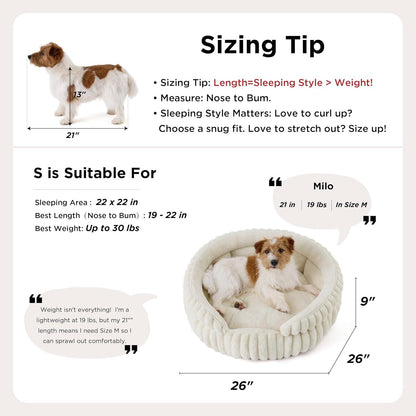 Medium Dog Bed, Washable Cute Pet Bed