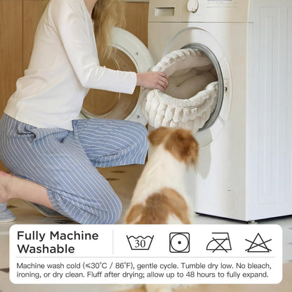 Medium Dog Bed, Washable Cute Pet Bed