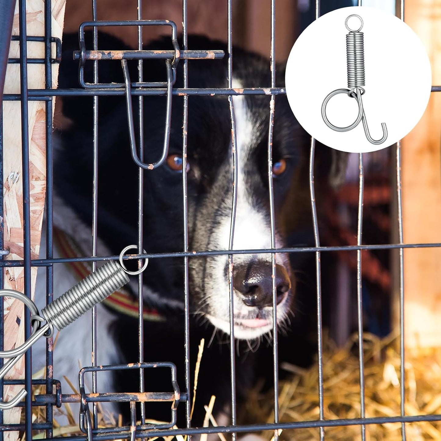 Pet Cage Door Spring Latch Hook | 10-Pack | For Rabbit Dog Cat Bird Cages