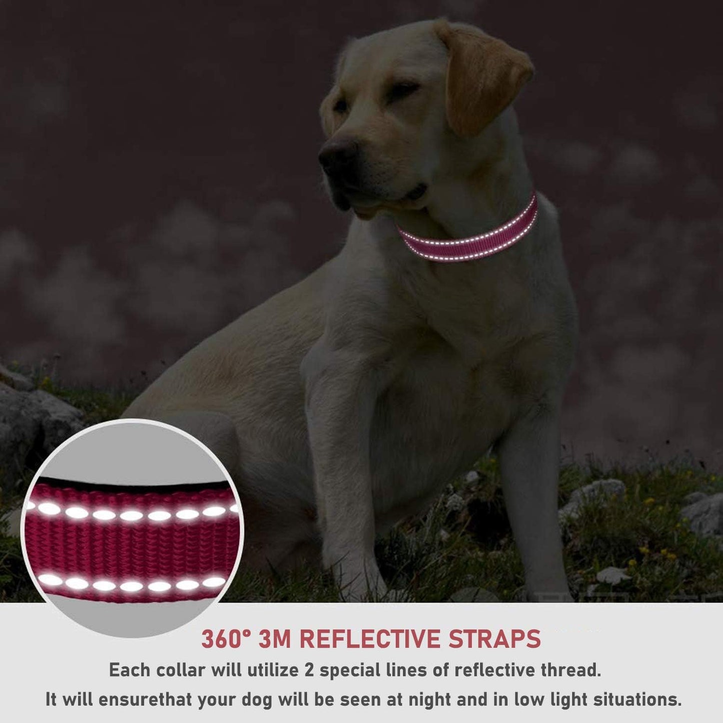 Pink Reflective Dog Safety Collar | Adjustable Nylon Buckle | Small Dogs | Size S