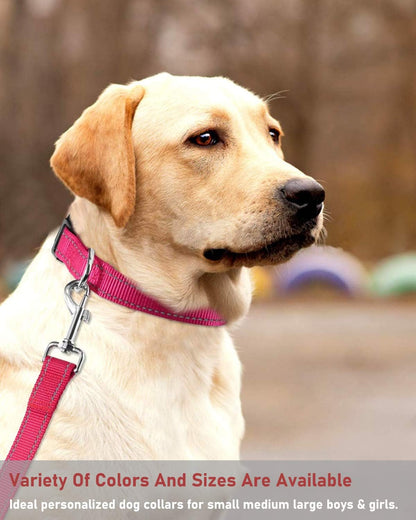 Pink Reflective Dog Safety Collar | Size S