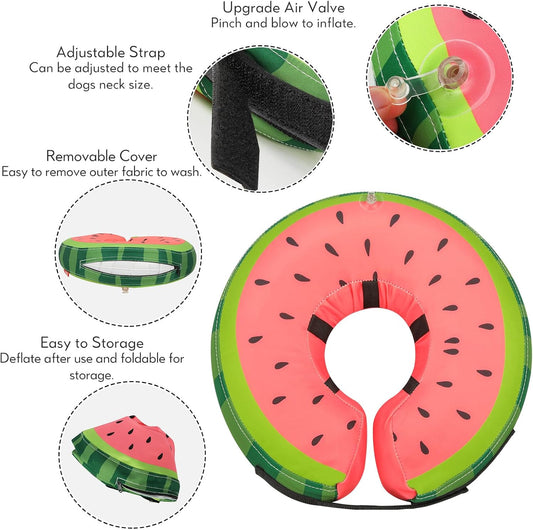 Inflatable Dog Collar Recovery Cone | Medium