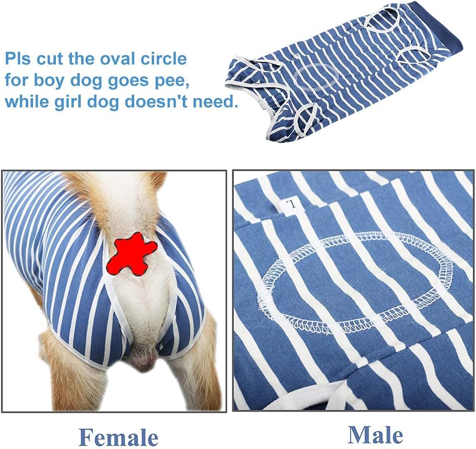 Dog Surgery Recovery Suit | Breathable Abdominal Wound Wear | E-Collar Alternative | S/M