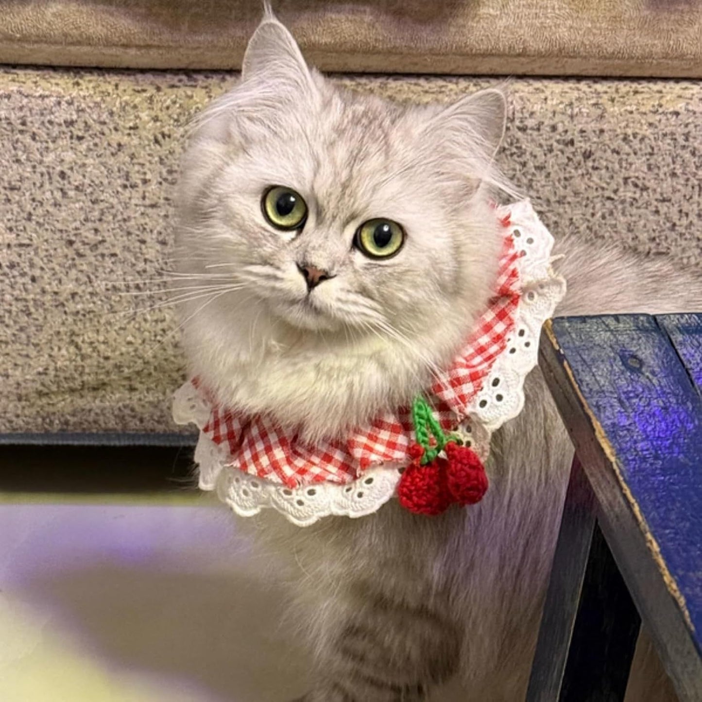 Cherry Pet Bandana | Knitted Lace Edge Collar with Strawberry Charm | Cats & Dogs | Size XL