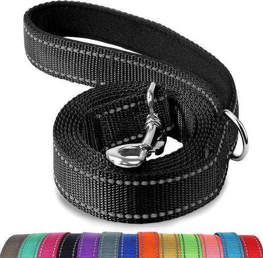 Reflective Dog Leash | 6FT Double-Sided Nylon | Padded Handle | Medium & Large Dogs