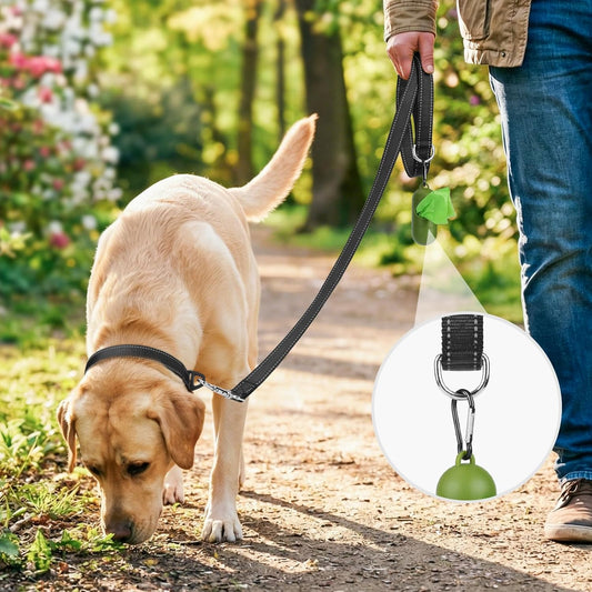 Reflective Dog Leash | 6FT Double-Sided Nylon | Padded Handle