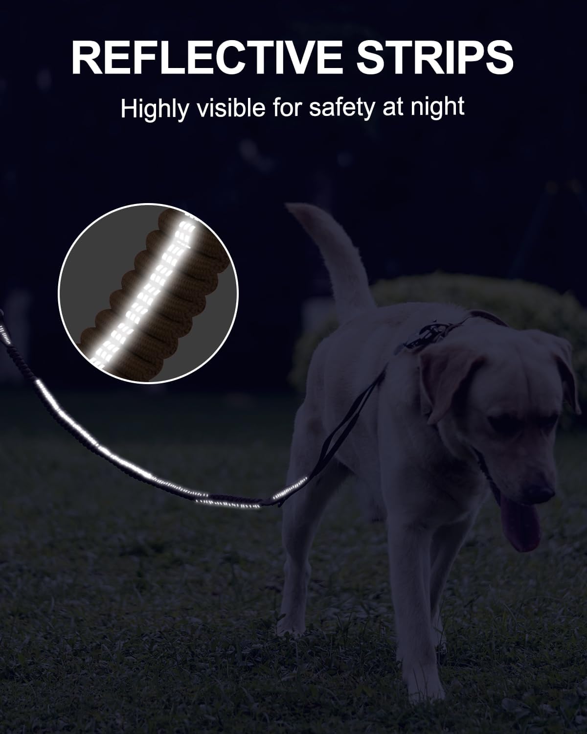 Tactical Bungee Dog Leash | 4-6FT Shock Absorbing | Seatbelt Clip