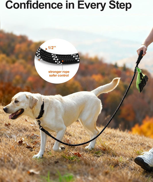 Reflective Dog Leash for Large Dogs | Padded Handle