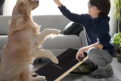 Dog Scratch Pad for Nails | Nail Scratching Board with Treat Box