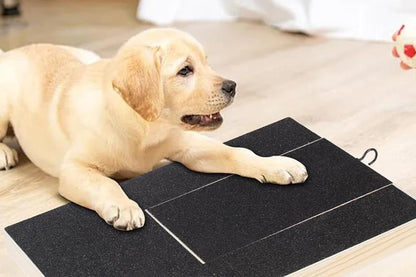 Dog Scratch Pad for Nails | Nail Scratching Board with Treat Box