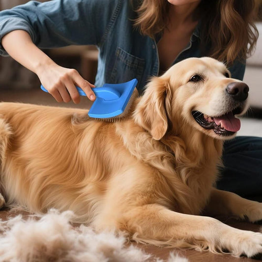 2-Piece Dog Slicker Brush & Comb Set for Grooming & Detangling Blue