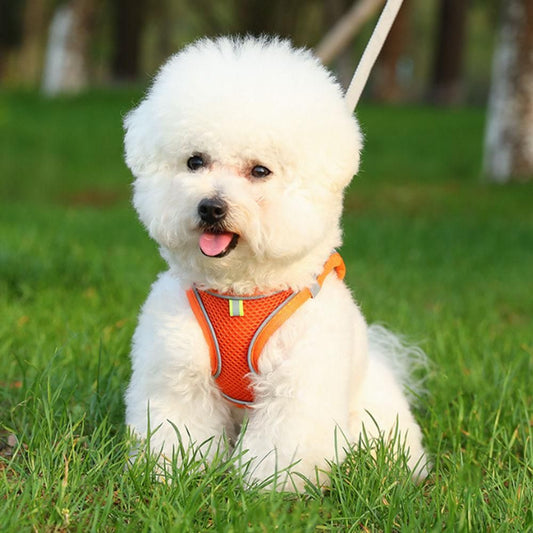 Cat Harness and Leash Set | Breathable Reflective Vest | Medium
