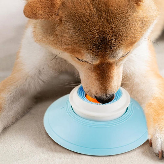 2PCS Non-Slip Slow Feeder Bowl for Dogs & Cats