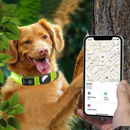 Luminous LED Pet Dog Collar Light-up USB Rechargeable Dog Collar Green (2)