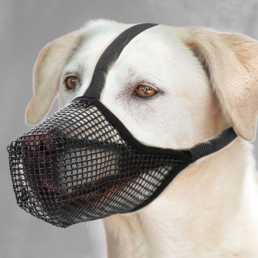 Soft Mesh Covered Dog Muzzle with Adjustable Straps Anti-Biting