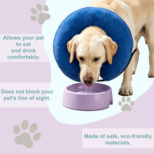 Inflatable Dog Cone Collar Alternative | Dogs & Cats