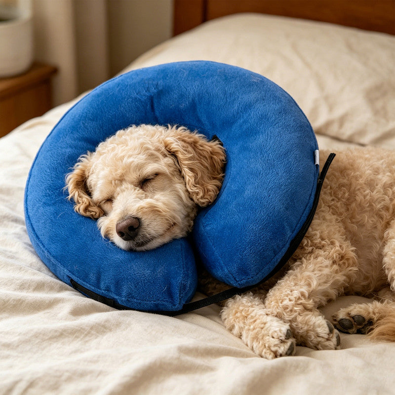 Inflatable Dog Cone Collar Alternative | Soft Recovery E-Collar | Small to XL Dogs & Cats | Size XL