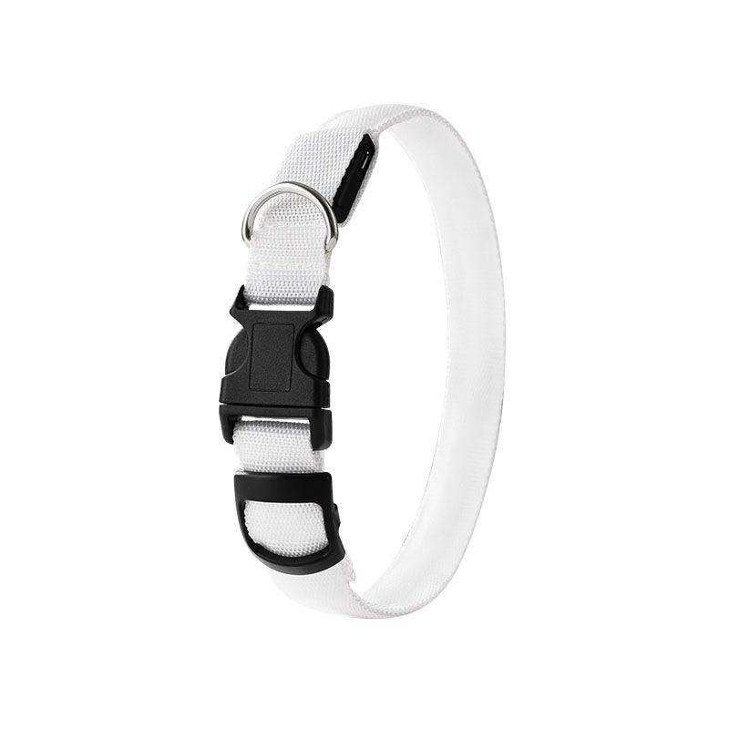 Pet LED Light-Up Collar, Large | White