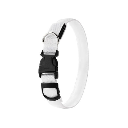 Pet LED Light-Up Collar, Large | White