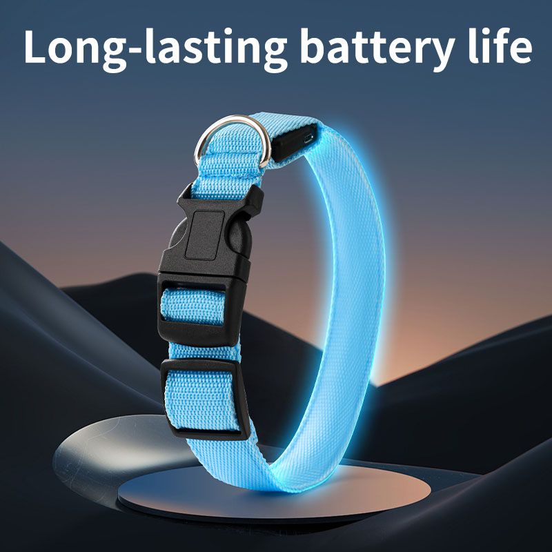Pet LED Light-Up Collar, Large | White