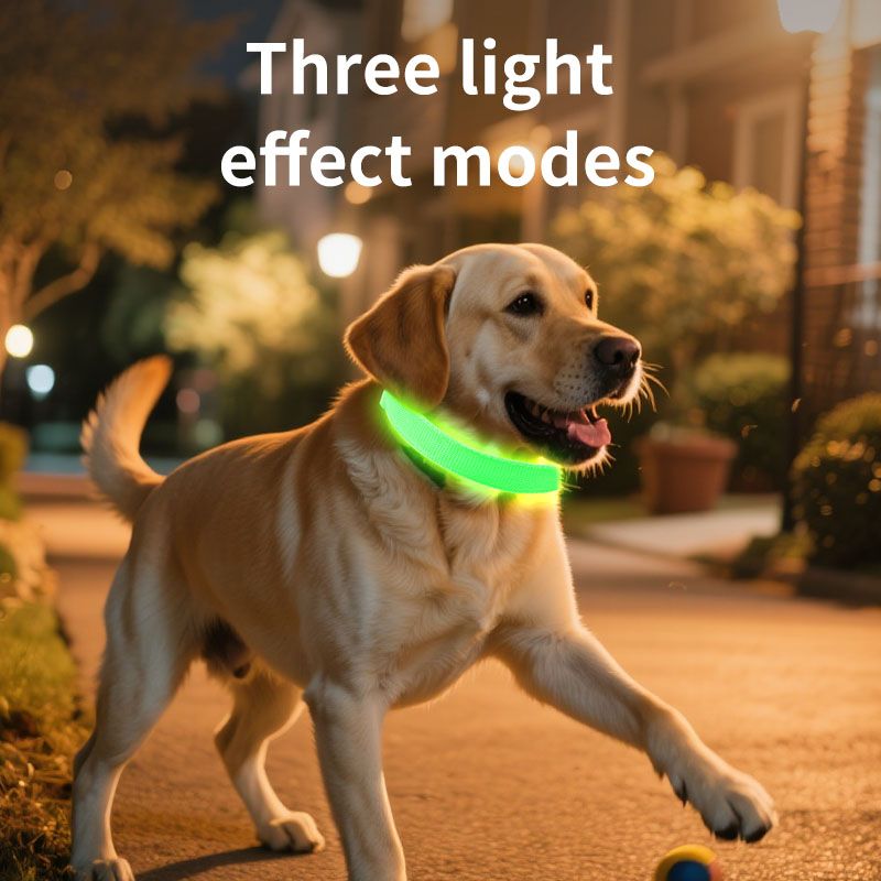 Pet LED Light-Up Collar, Large | White