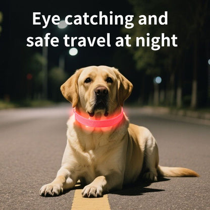 Pet LED Light-Up Collar, Large | White