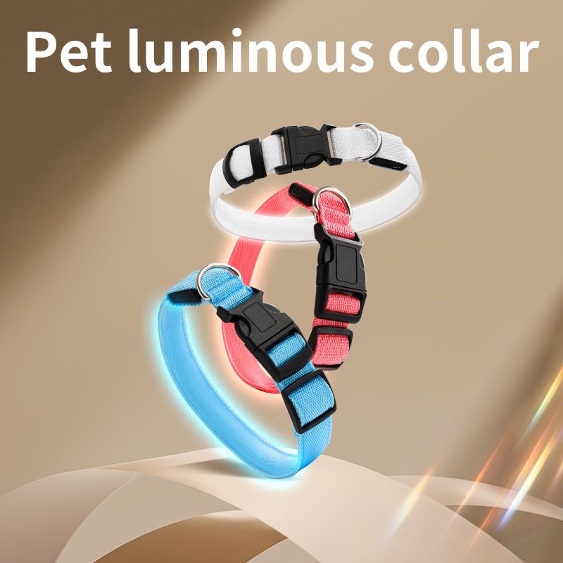 Pet LED Light-Up Collar, Large | White
