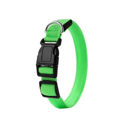 Pet LED Light-Up Collar, Large, Adjustable, USB Rechargeable, for Cats and Dogs, Nighttime Anti-Lost - Green