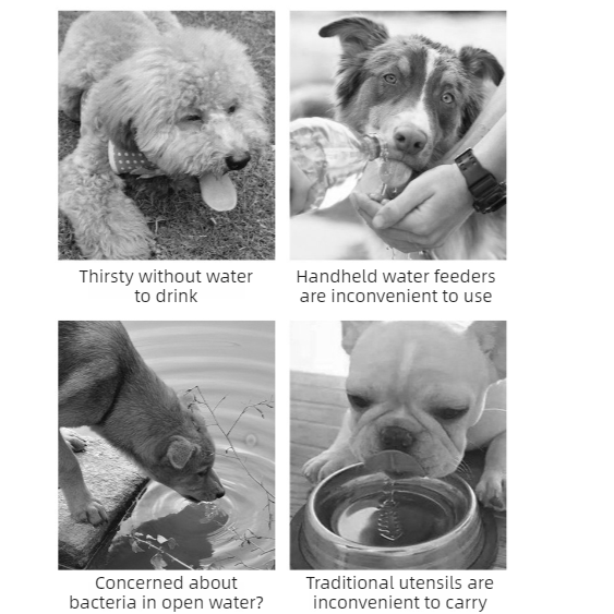 All-in-One Water and Food Pet Travel Cup, Portable Water Dispenser for Dogs and Cats – White