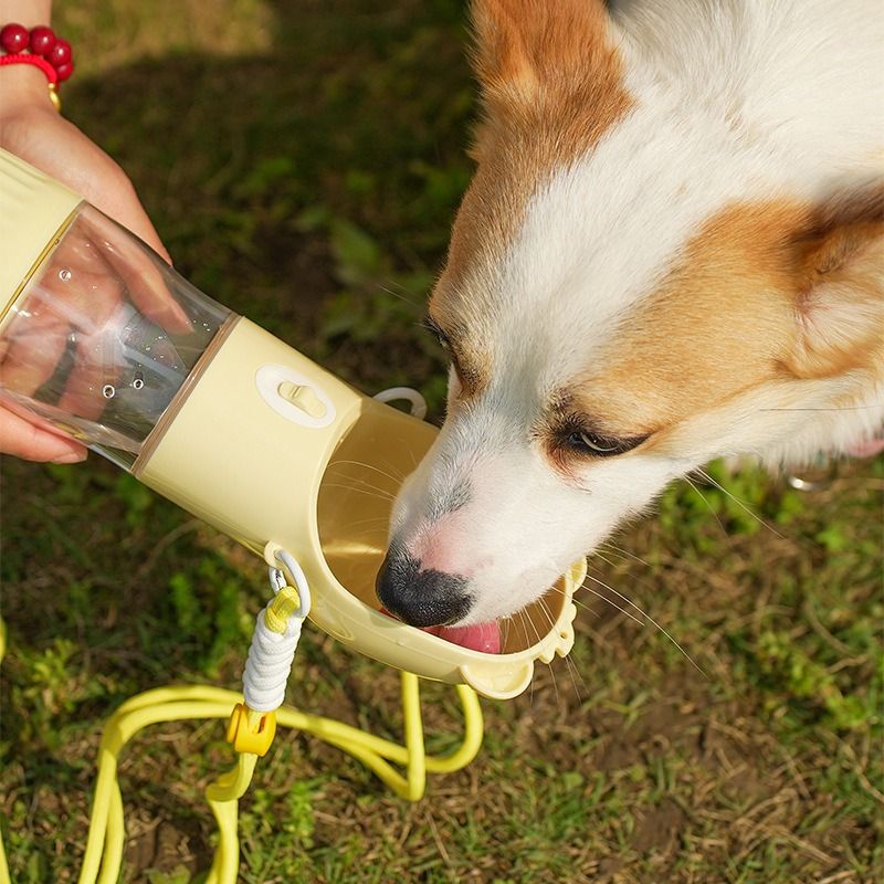 All-in-One Water and Food Pet Travel Cup, Portable Water Dispenser for Dogs and Cats – Purple
