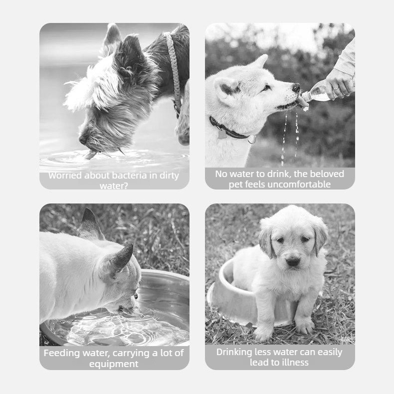 All-in-One Pet Travel Cup | 350ml Water + 200ml Food | Purple