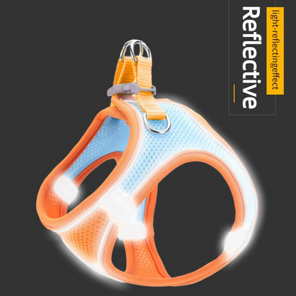 Breathable Reflective Pet Harness Set: Vest-Style Dog Harness + Leash | Black-L