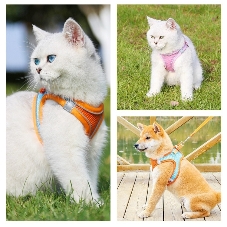 Breathable Reflective Pet Harness Set: Vest-Style Dog Harness + Leash | Black-XS