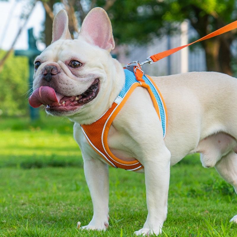 Breathable Reflective Pet Harness Set: Vest-Style Dog Harness + Leash | Black-XS