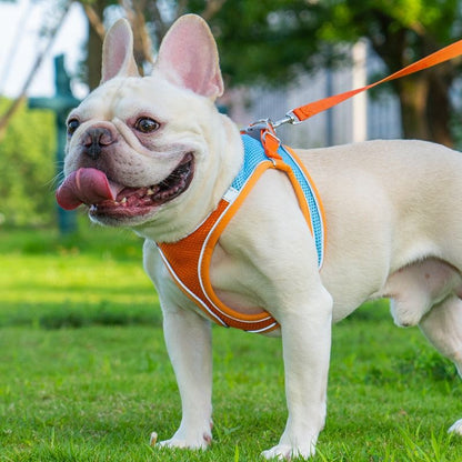 Breathable Reflective Pet Harness Set: Vest-Style Dog Harness + Leash | Black-XS