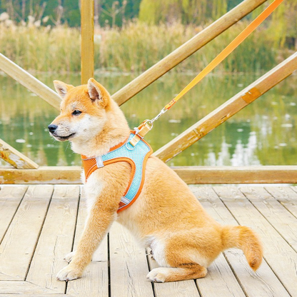 Breathable Reflective Pet Harness Set: Vest-Style Dog Harness + Leash | Black-XS