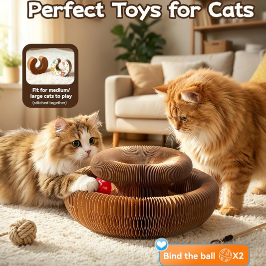 Accordion Cat Scratcher 2-Pack | Corrugated Cardboard | With Ball Toy