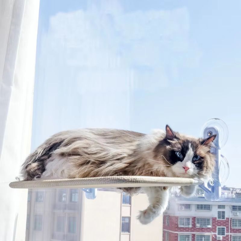 Foldable Window Mount Cat Hammock | Suction Cup Hanging Bed | All Season