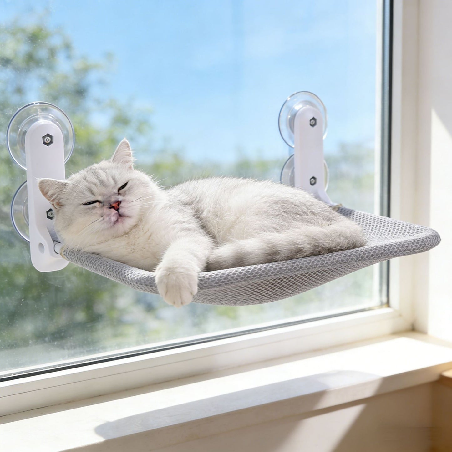 Foldable Window Mount Cat Hammock | Suction Cup Hanging Bed | All Season
