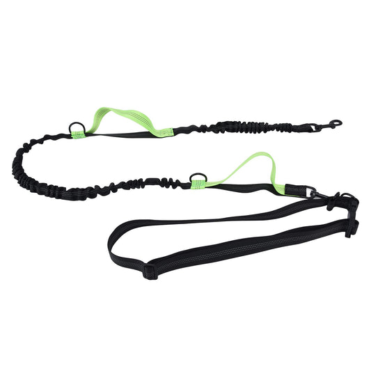 Reflective Retractable Pet Leash | Green