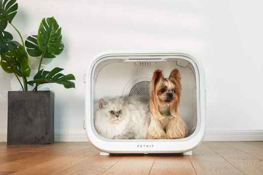 PETKIT AIRSALON Smart Pet Dryer Box | Automated Drying & Grooming