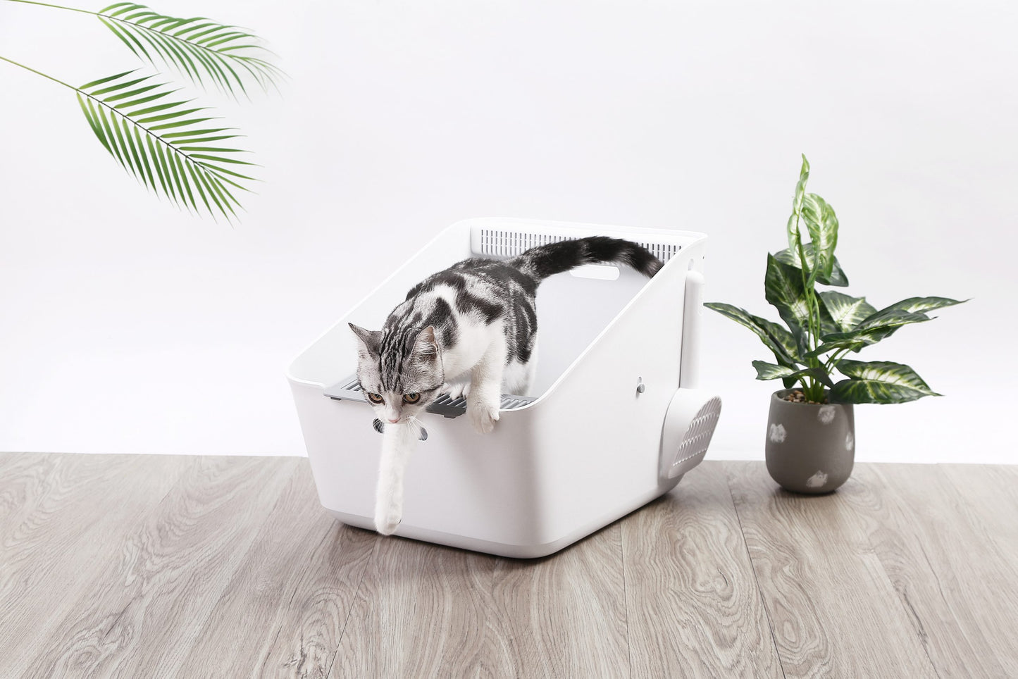 PETKIT Pura Automatic Cat Litter Box | Self-Cleaning | Smart Odour Control