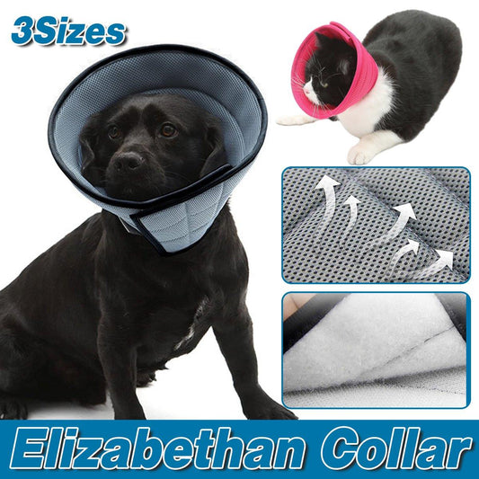 Grey Elizabethan Anti-Lick Pet Recovery Collar | Cats & Dogs | Size 4
