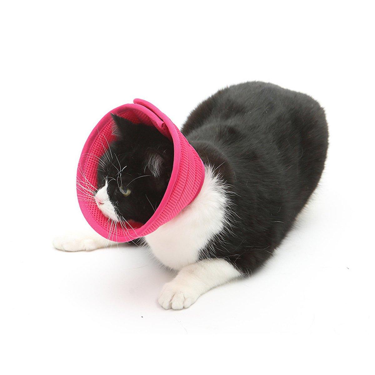Rose Red Elizabethan Anti-Lick Pet Recovery Collar | Cats & Dogs | Size 4