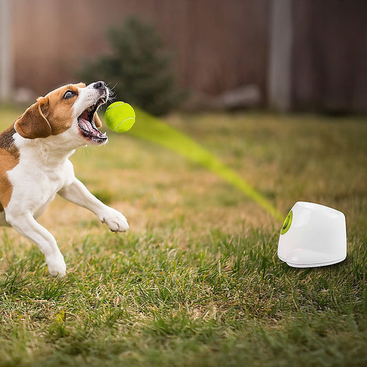 Automatic Dog Ball Launcher | Tennis Fetch Throwing Machine