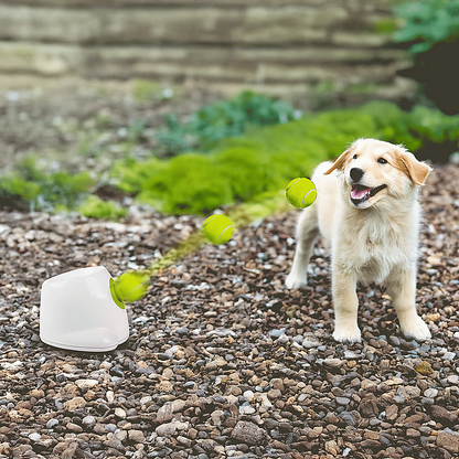 Automatic Dog Ball Launcher | Tennis Fetch Throwing Machine