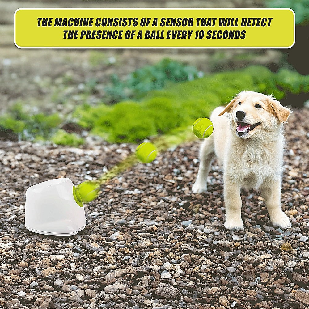 Automatic Dog Ball Launcher | Tennis Fetch Throwing Machine | Includes 3 Balls